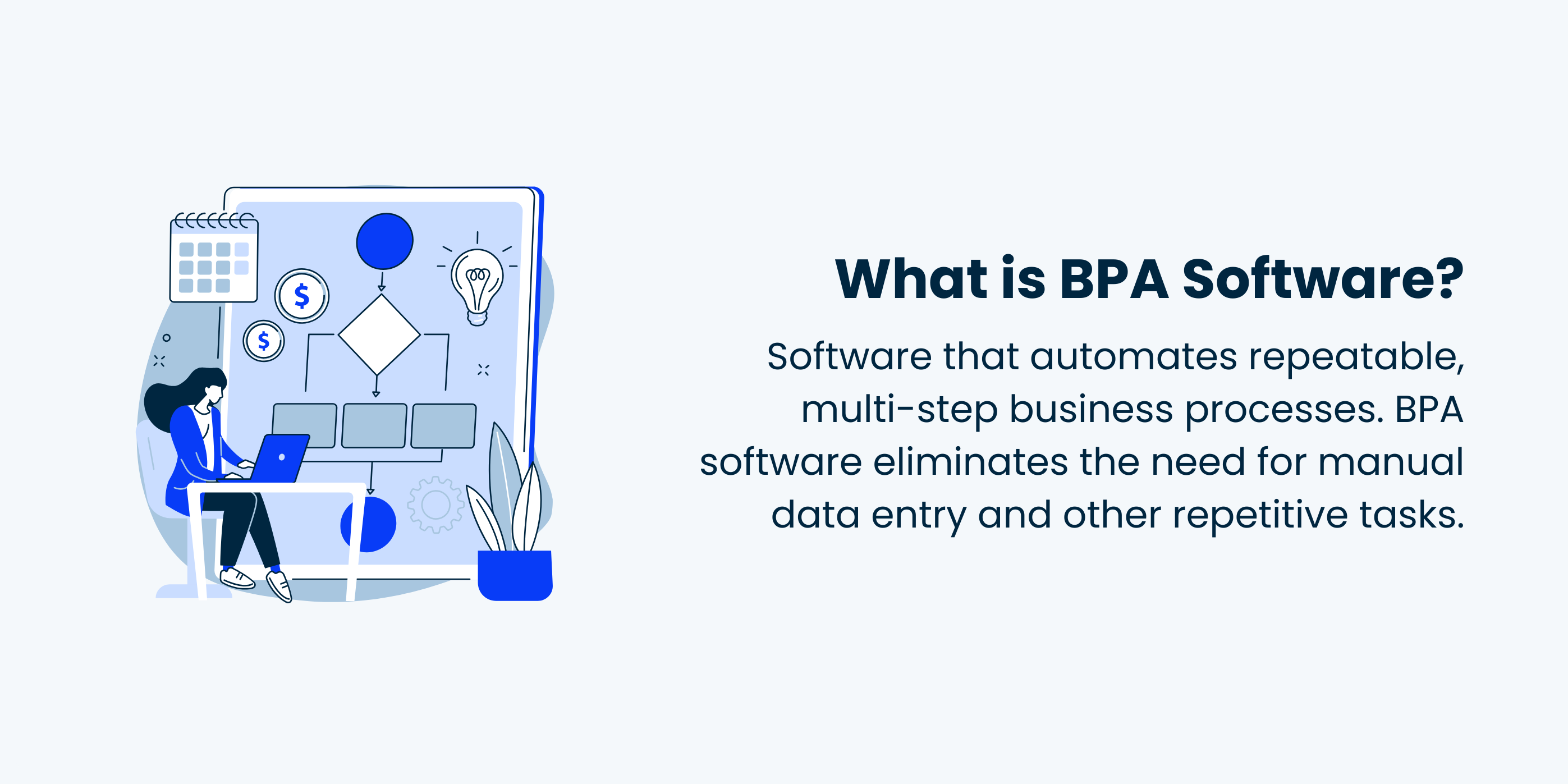 What is BPA Software