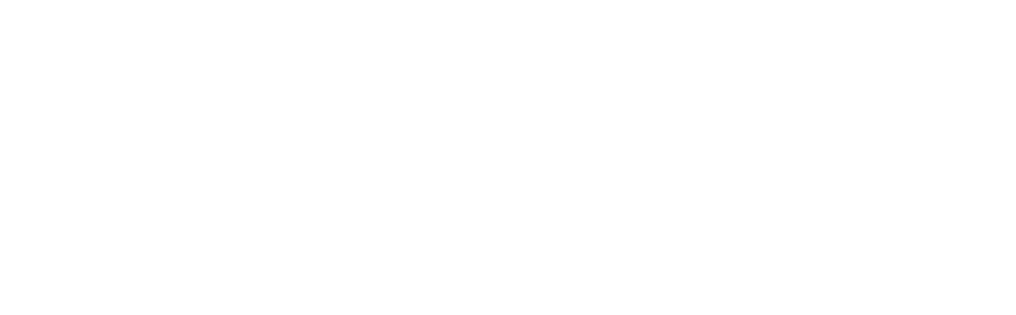 SecurEdge White Logo - Click to go back to home